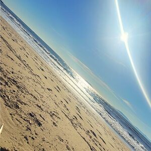 Meet your Posher, Lola